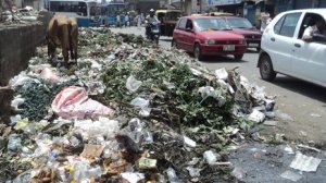 With the major increase of the non-white population increase in India comes the non-stop overflow of trash, with huge trash piles along roadways, in random fields and right outside apartments and housing developments.  The extent of these piles and the animals that roam through them is staggering.