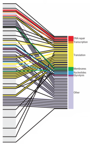 Defragging the genome