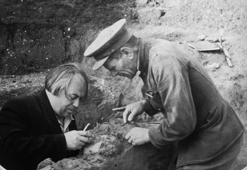 The Kostenki fossils were excavated in 1954 by a Russian team led by A. N. Rogachev (left) and are among the oldest for modern humans in Europe. (Photograph by the Peter the Great Museum of Anthropology and Ethnography.)