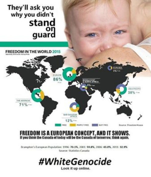 White Genocide Flyer