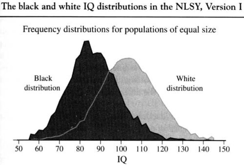20060122_Multiracialists_are_Crazy,_Part_3_IQ_graph_racial