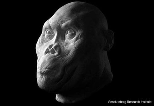 ancient-hominids-reconstruction-1