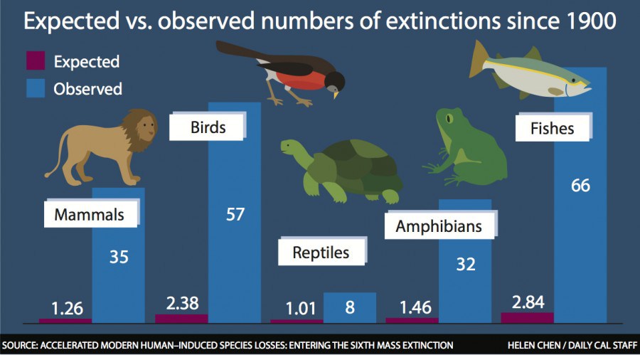 Study Identifies 6th Mass Extinction Event, Lists Human Activity as ...