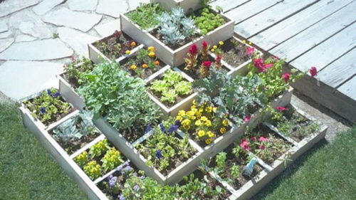 Square-foot-gardening2