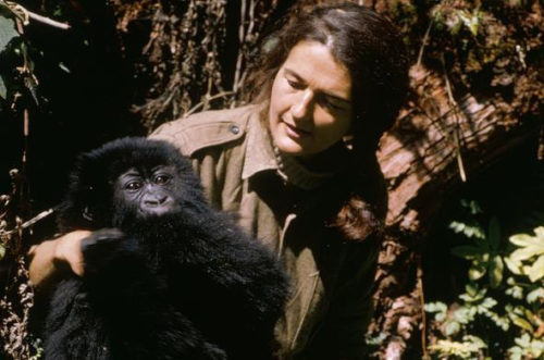 dian-fossey-with-infant-gorilla