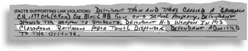 The charging document in a case against an 8-year-old at Lakewood