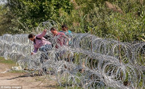 2BCE137600000578-3216339-Making_it_Three_men_jump_through_the_border_fence_between_Serbia-a-141_1440966743309