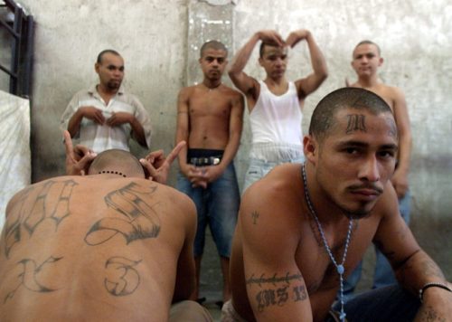 Members of the street gang 'MS13' serve jail sentences at the National Penitentiary in Tamarac, Hond..