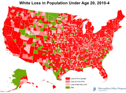 white loss in population under age 20