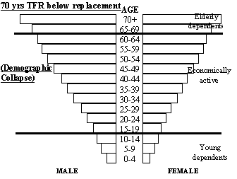 Hypothetical Inverted Age Pyramid of the White Race (demographic collapse)