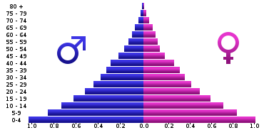 Representative Age Pyramid for an Expanding Nonwhite Race (Angolan age pyramid, 2005)