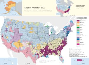 American Genetic Demographics | National Vanguard