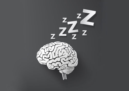 vectorof sleep concept with brain.