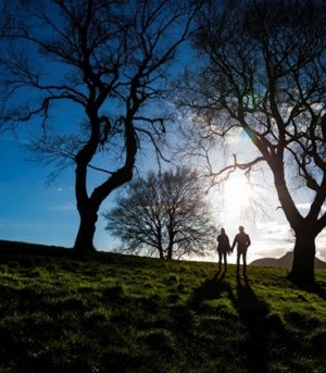 couple_forest_crop