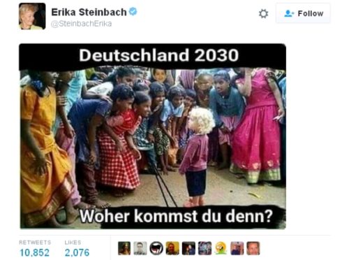 german-politician-white-minority
