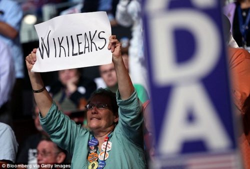 The attack on the analytics program was carried out by the same group behind the DNC emails, an official involved in the forensic investigation told the NYTimes (pictured, a delegate at the DNC on Tuesday)