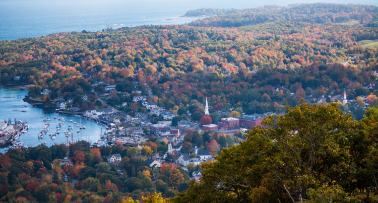 A scene in Maine -- should non-White pimps, drug dealers, and rapists be allowed to live here?