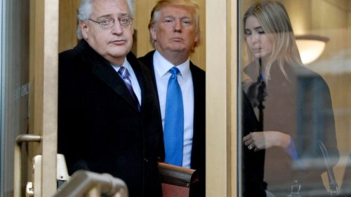 david_friedman_with_trump