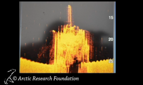 A side scan sonar image from an Arctic Research Foundation skiff, taken on Sept. 3, shows the discovery.