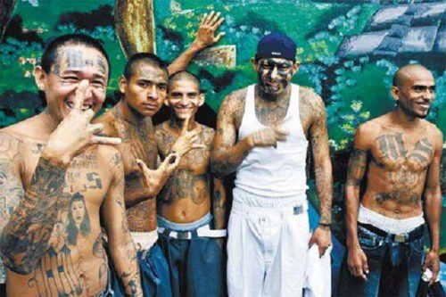 ms13gangmembers