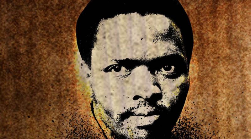 education-biko-s-800x445