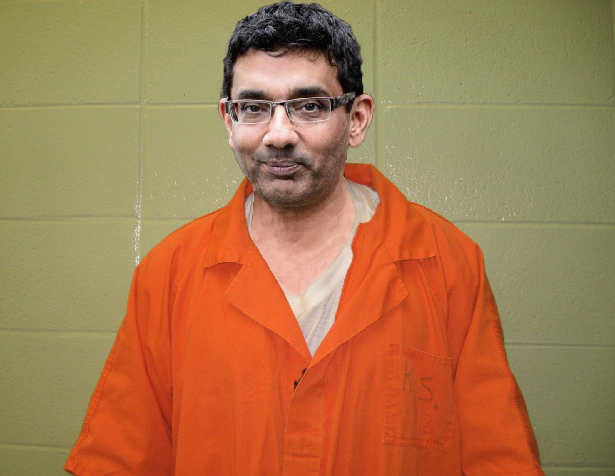 Dinesh d'souza mugshot