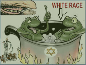 WhiteFrog.png