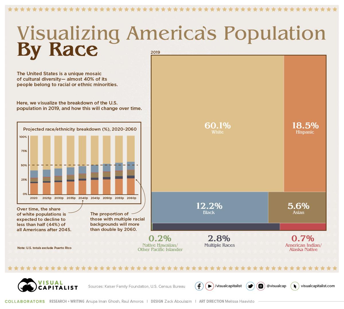 Visualizing US Population By Race 1609774513.4262 