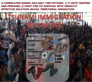 TSUNAMI IMMIGRATION NOT WHITE.jpg