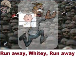 Run away Whitey Run away.jpg